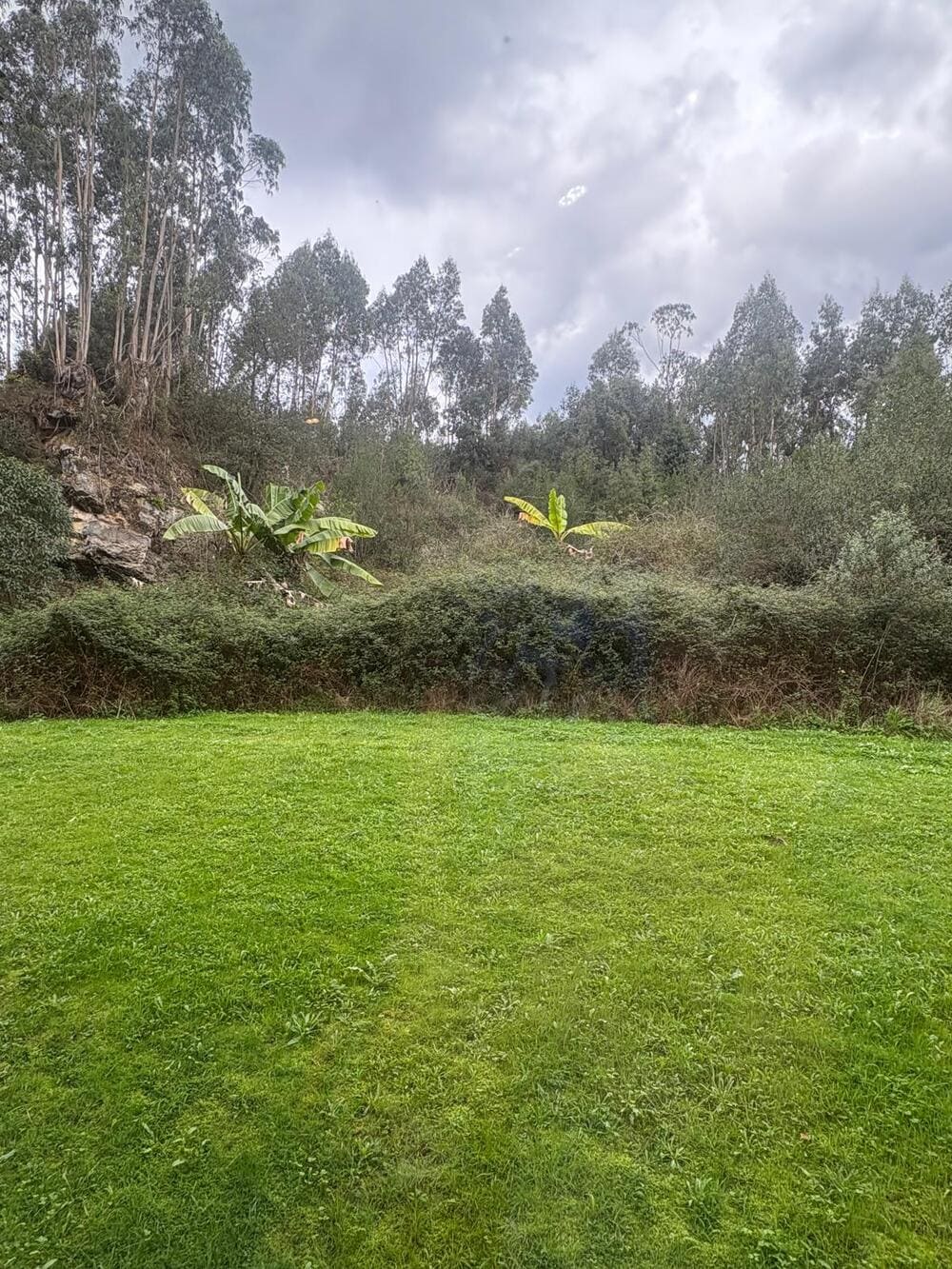 apartamento loft playa de toro 1 apartamento loft playa de toro 1